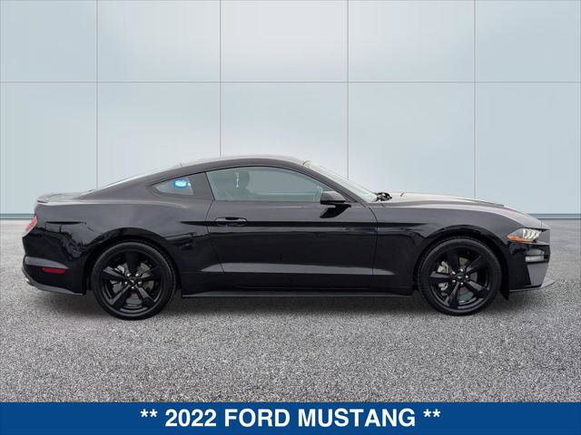 Certified 2022 Ford Mustang Coupe w/ Equipment Group 101A image 6