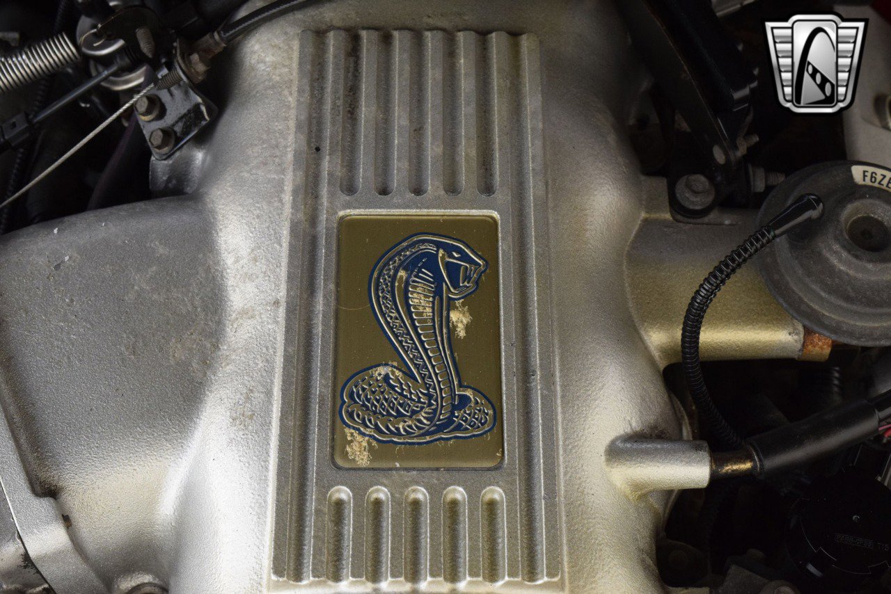 Used 1998 Ford Mustang Cobra image 22