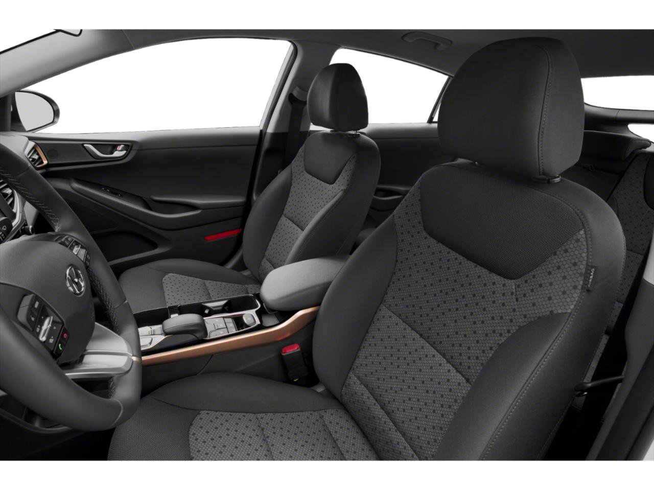 Used 2019 Hyundai Ioniq Electric FWD image 61