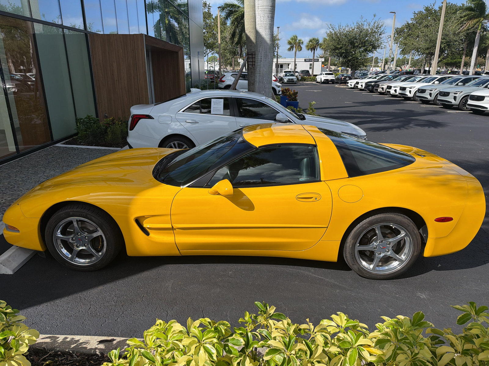 Used 2001 Chevrolet Corvette Coupe w/ Preferred Equipment Group1 RWD image 4
