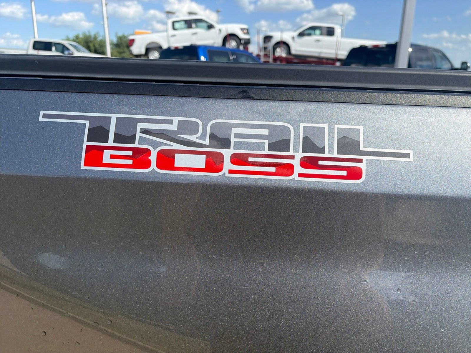 Used 2021 Chevrolet Silverado 1500 Custom Trail Boss AWD/4WD image 9