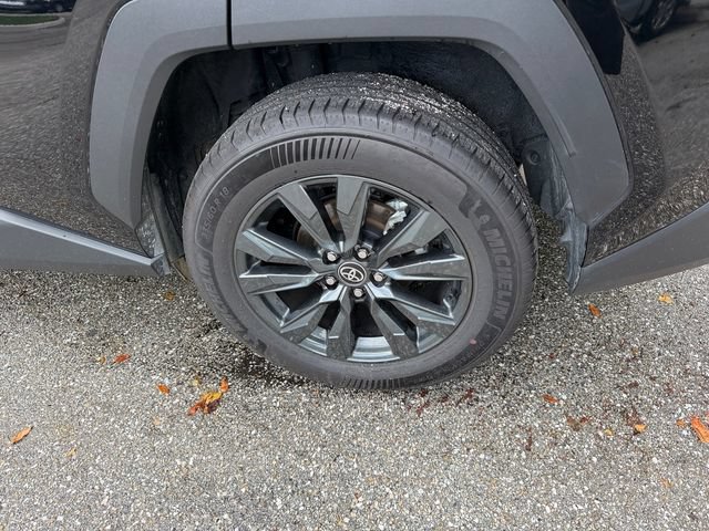 Certified 2026 Toyota RAV4 XLE Premium FWD image 5