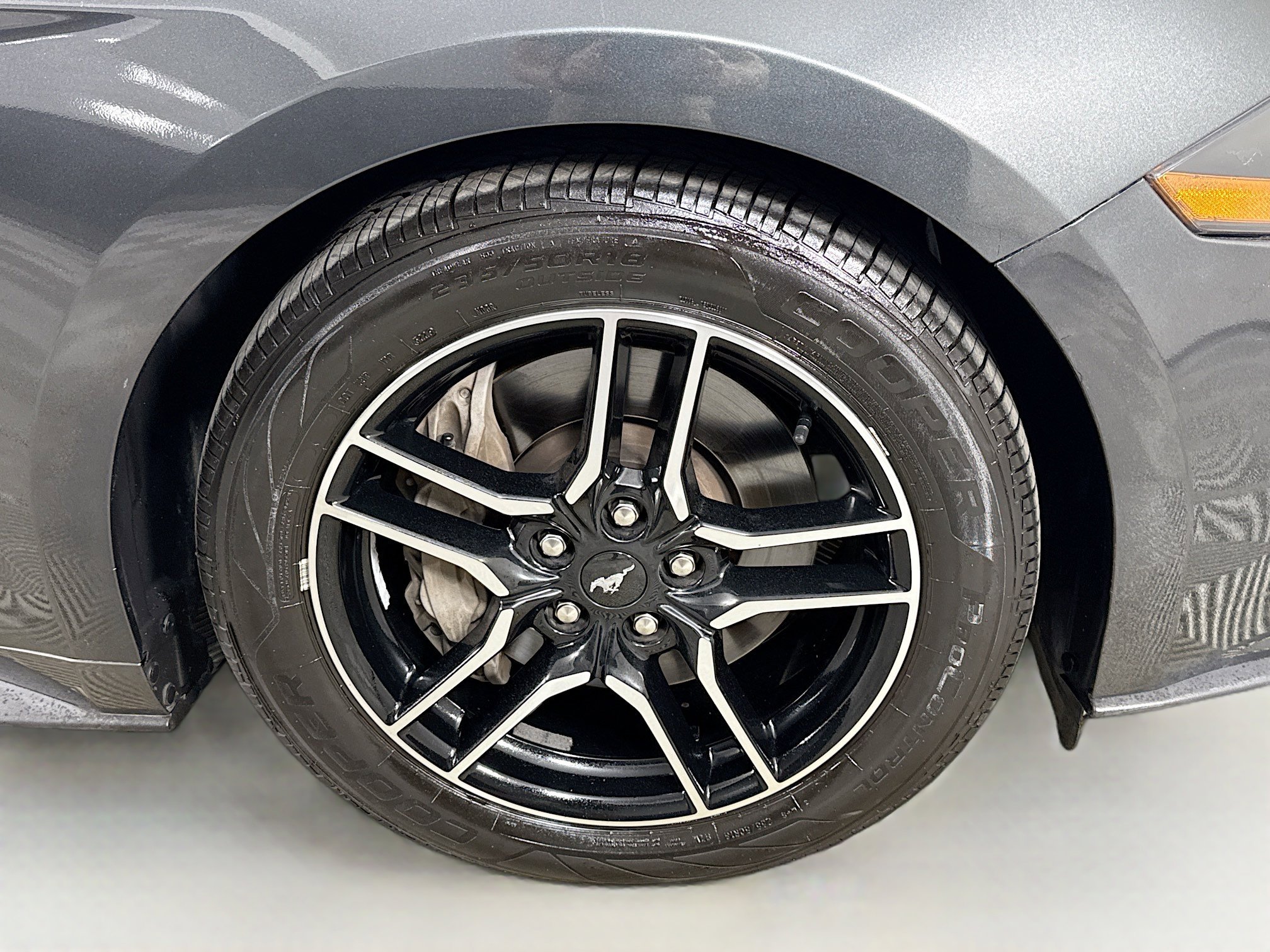 Used 2019 Ford Mustang GT w/ Equipment Group 301A RWD image 30