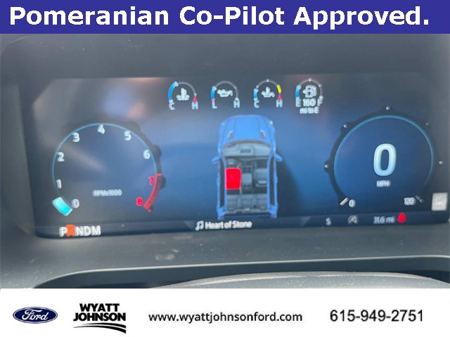 New 2025 Ford F150 Tremor w/ Bed Utility Package image 35