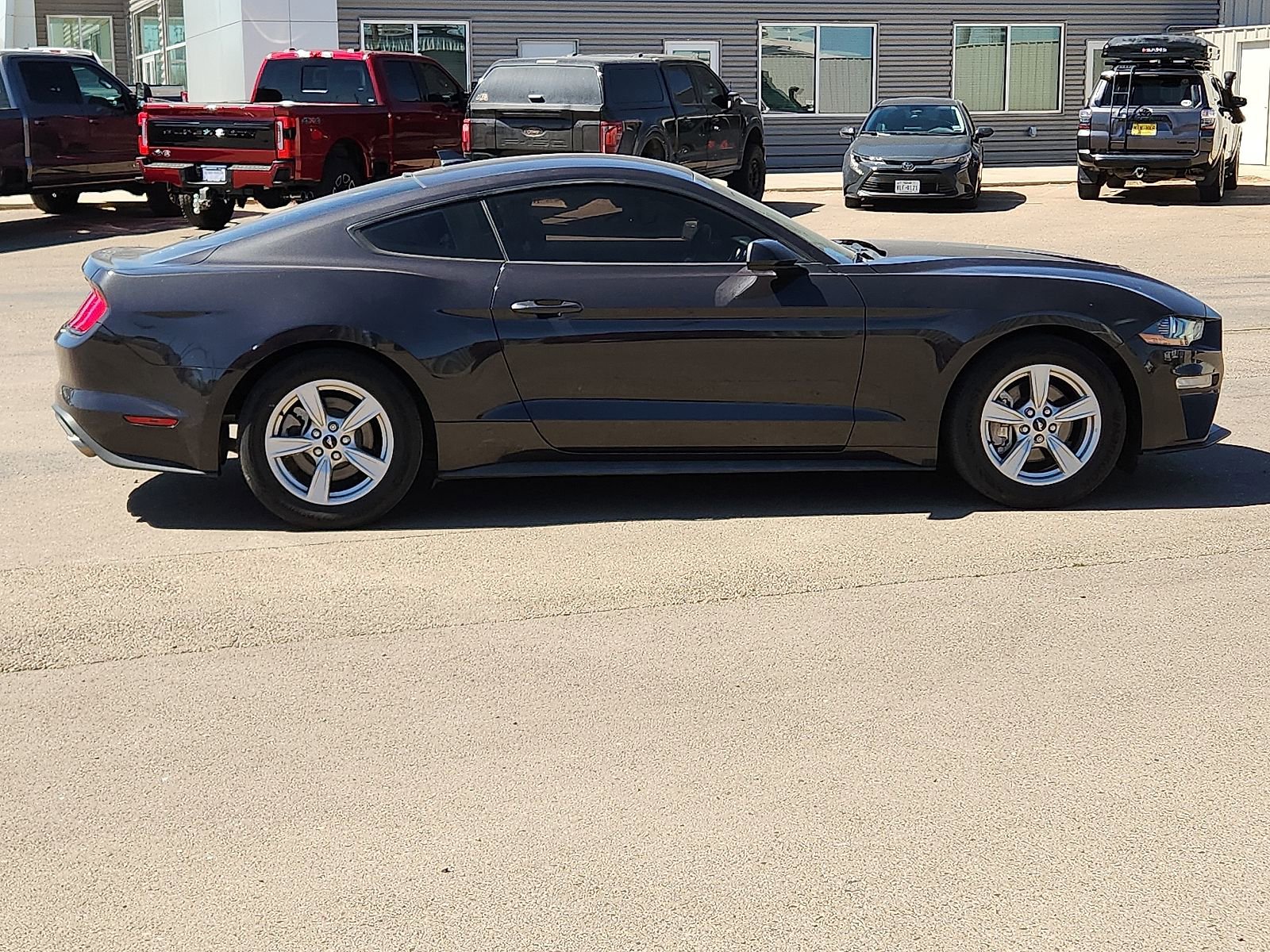 Used 2022 Ford Mustang EcoBoost image 5