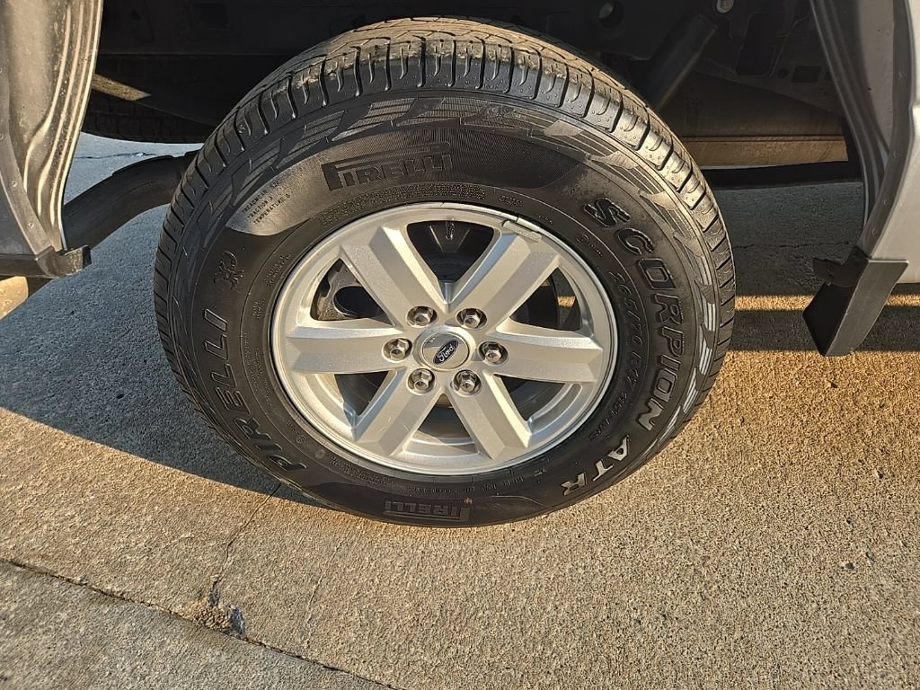 Used 2022 Ford F150 XL w/ FX4 Off-Road Package AWD/4WD image 34