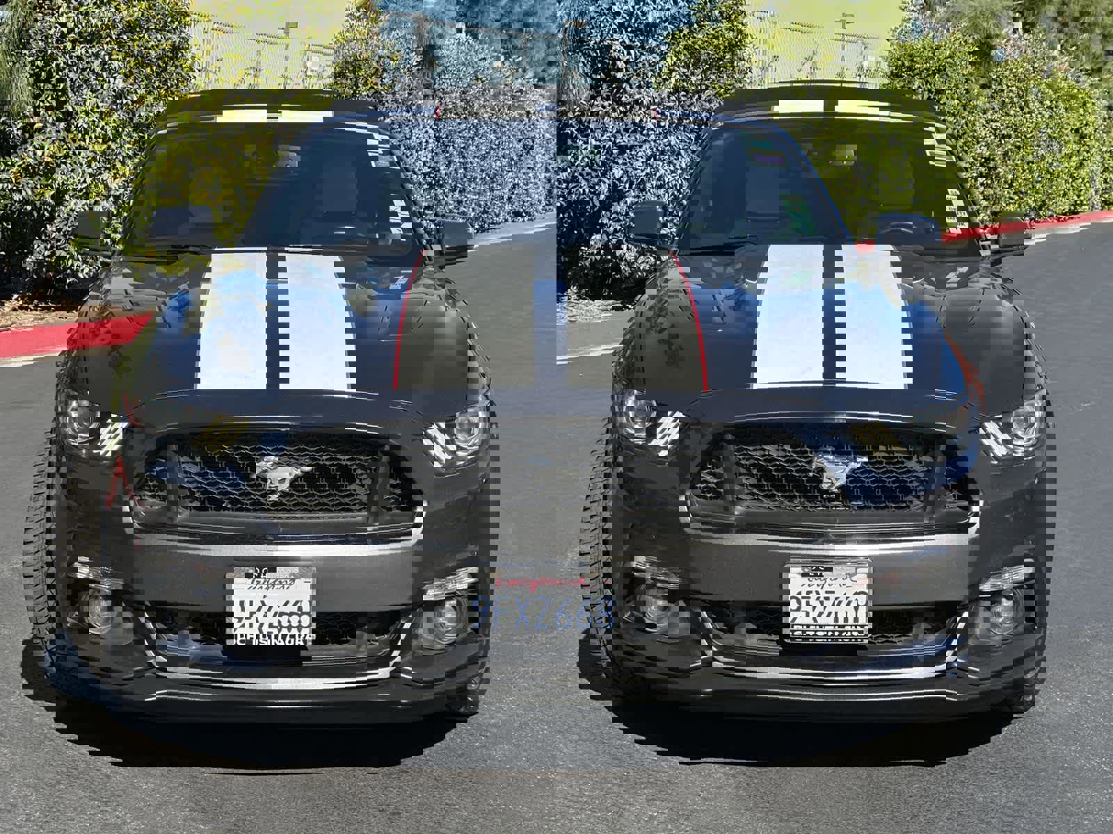 Used 2015 Ford Mustang GT Premium w/ Equipment Group 401A image 6