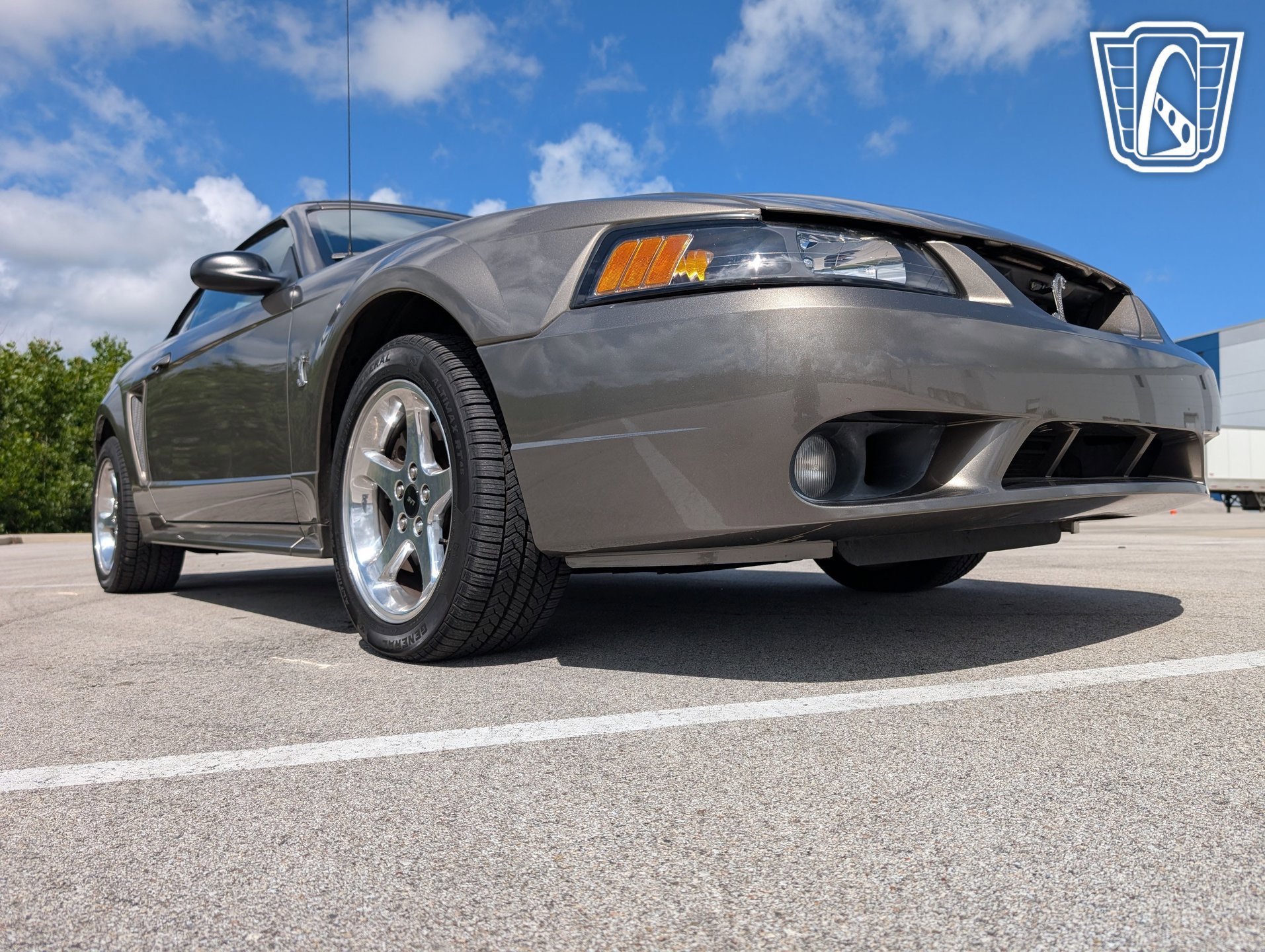 Used 2001 Ford Mustang Cobra image 22