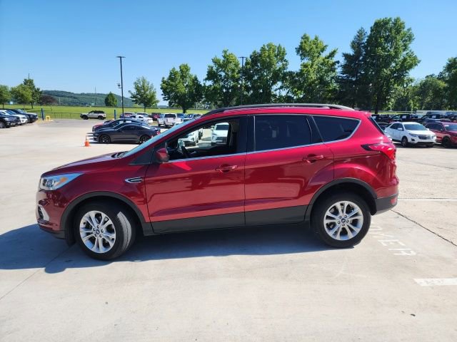 Used 2019 Ford Escape SEL FWD image 6