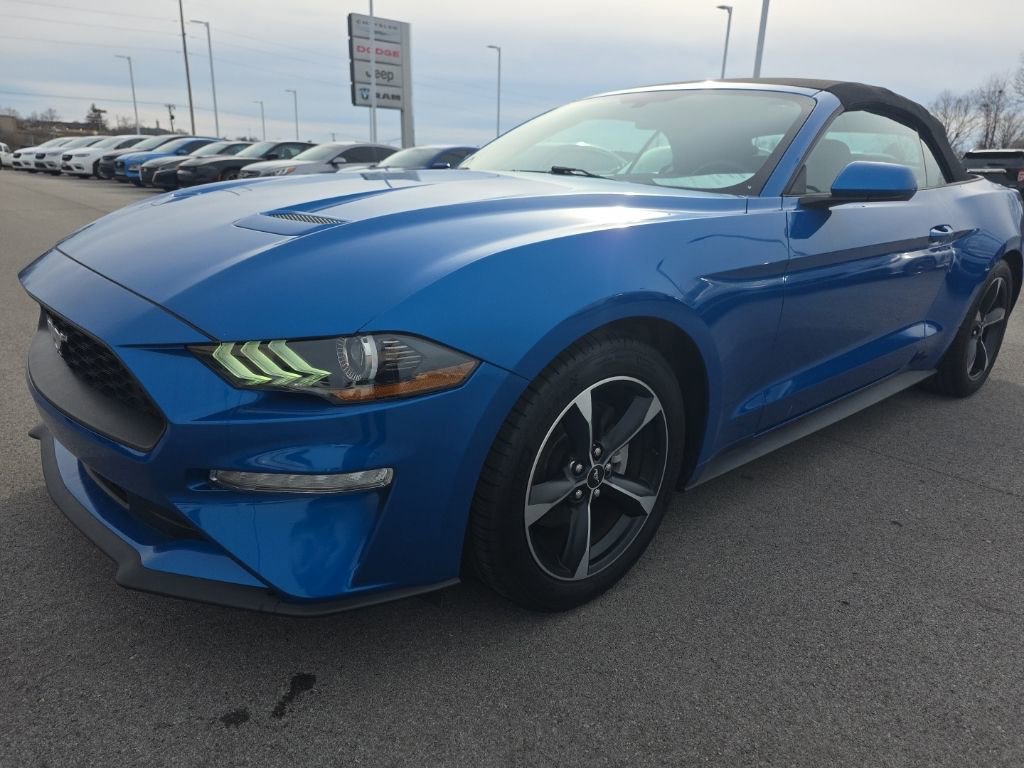 Used 2020 Ford Mustang EcoBoost w/ Equipment Group 101A image 1