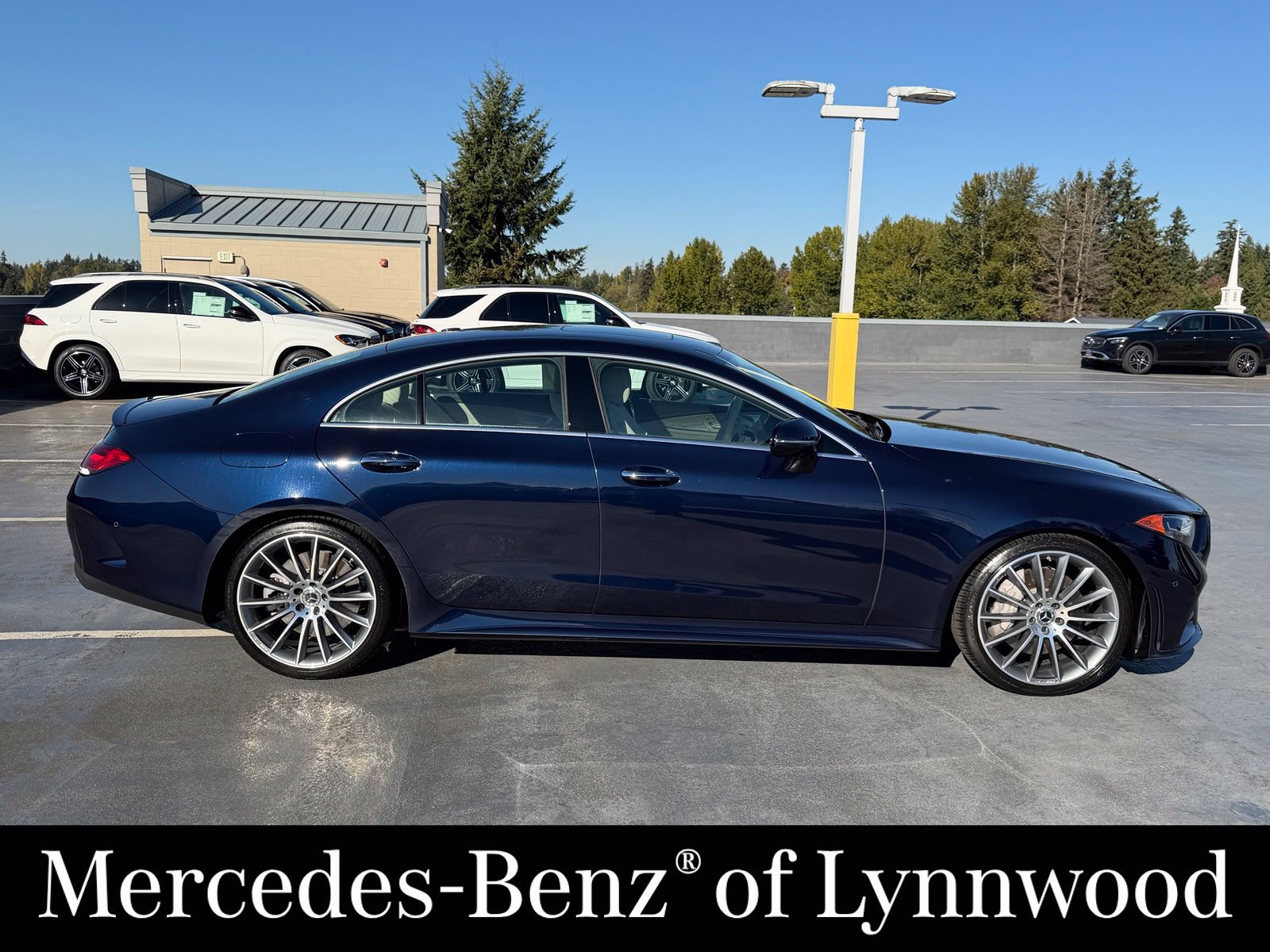 Used 2019 Mercedes-Benz CLS 450 image 4