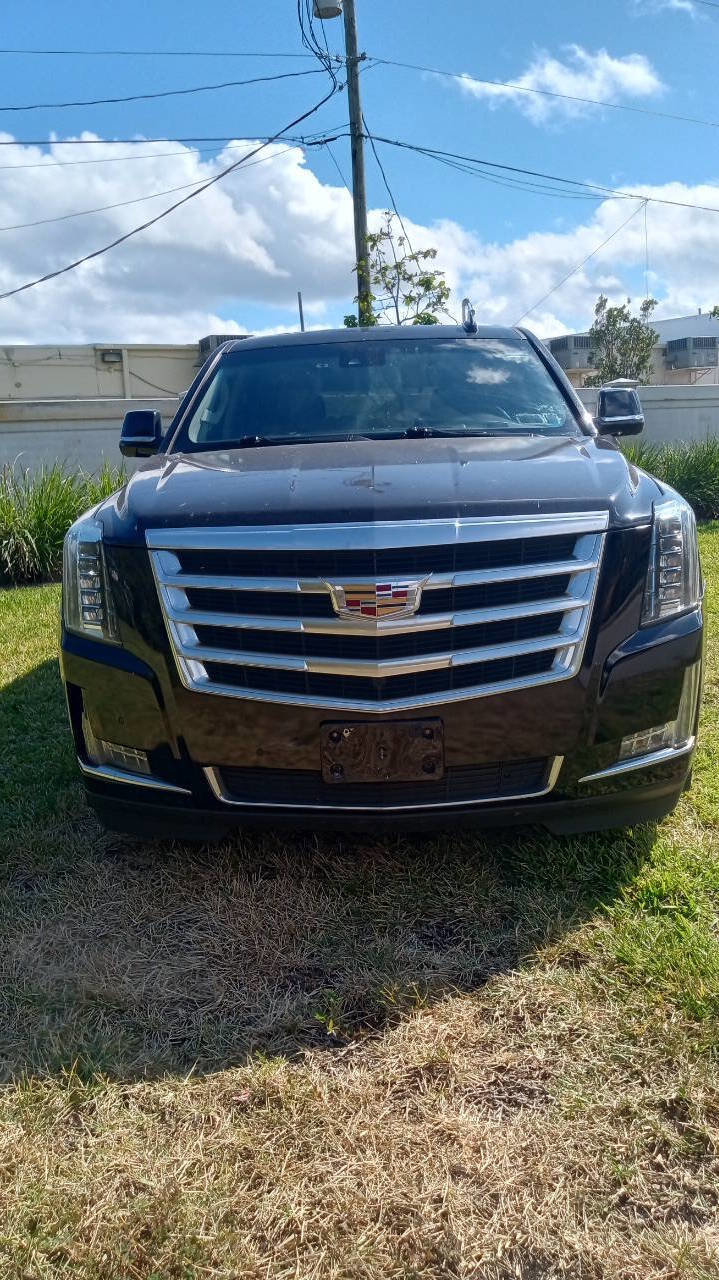 Used 2019 Cadillac Escalade Luxury image 3