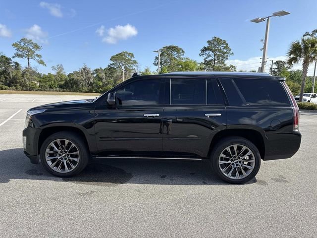 Used 2019 Cadillac Escalade Premium Luxury w/ Escalade Sport Edition image 6