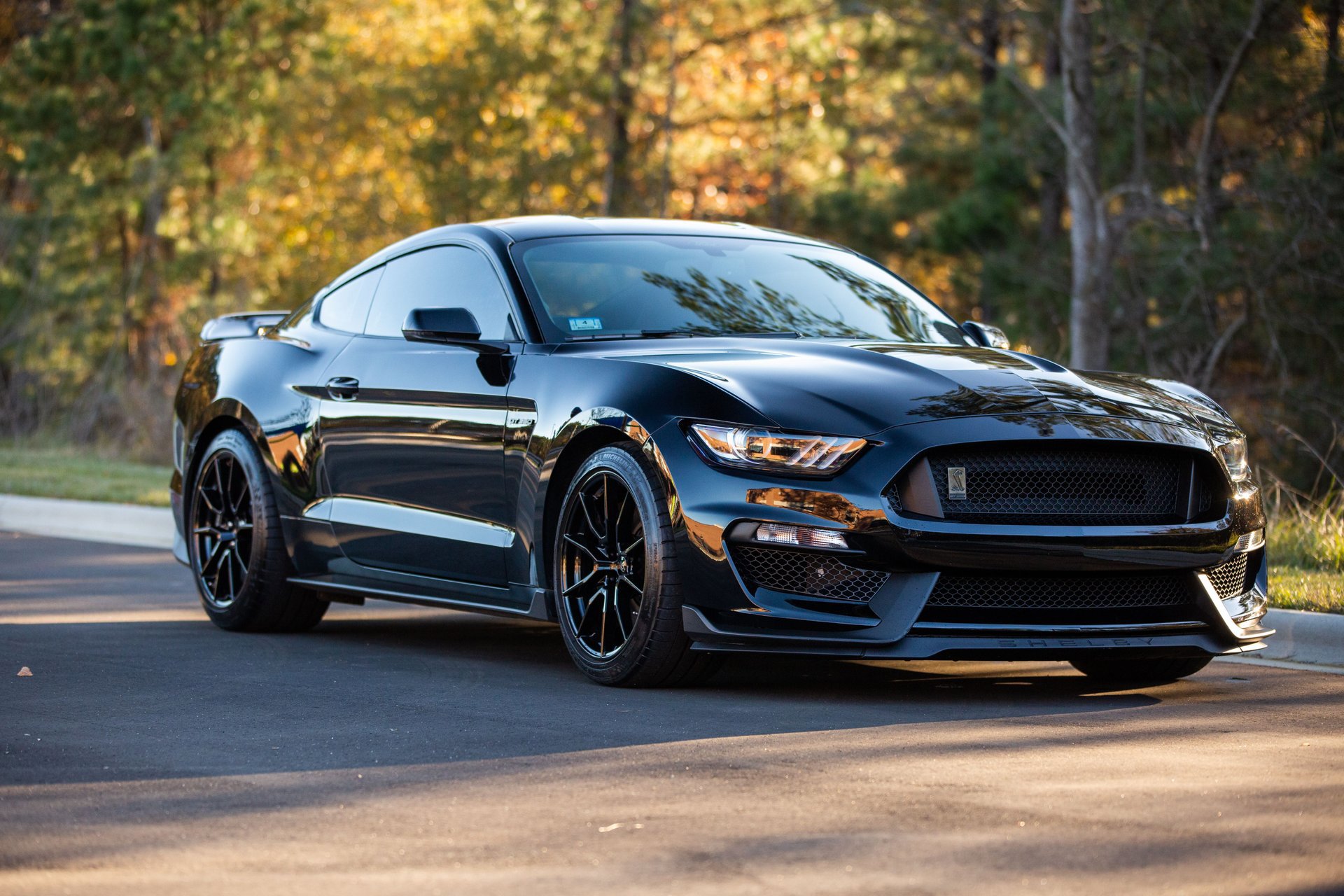 Used 2019 Ford Mustang Shelby GT350 w/ Technology Package image 64