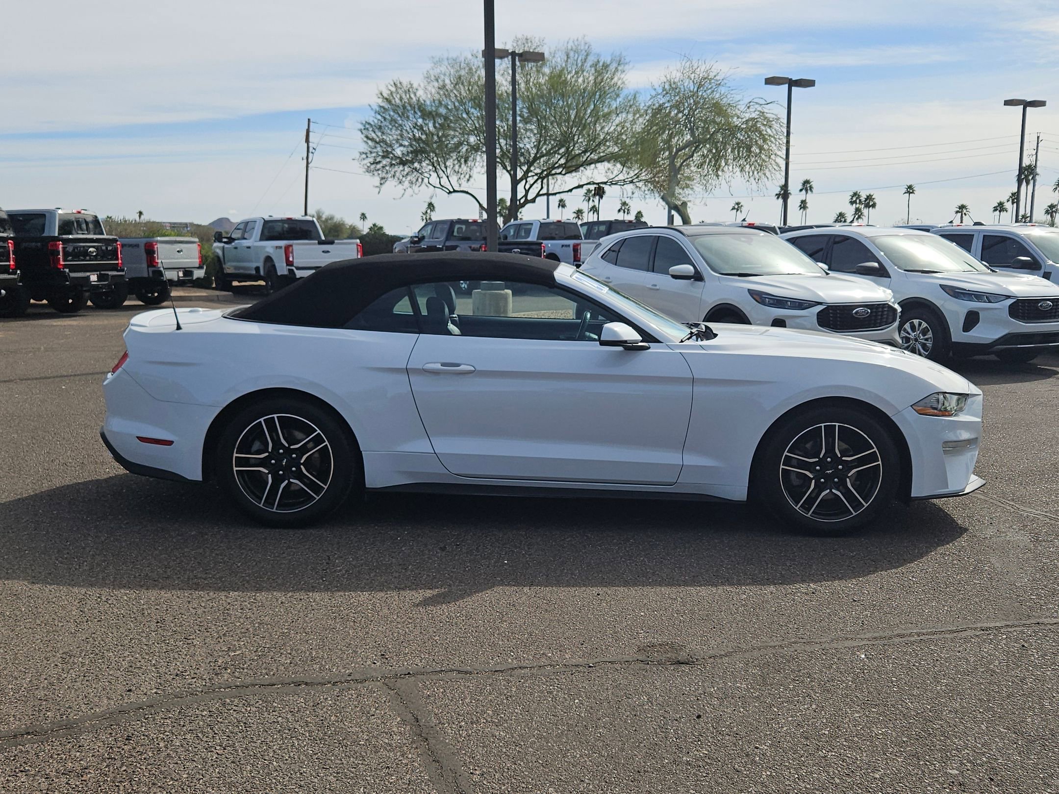Used 2020 Ford Mustang Premium image 4