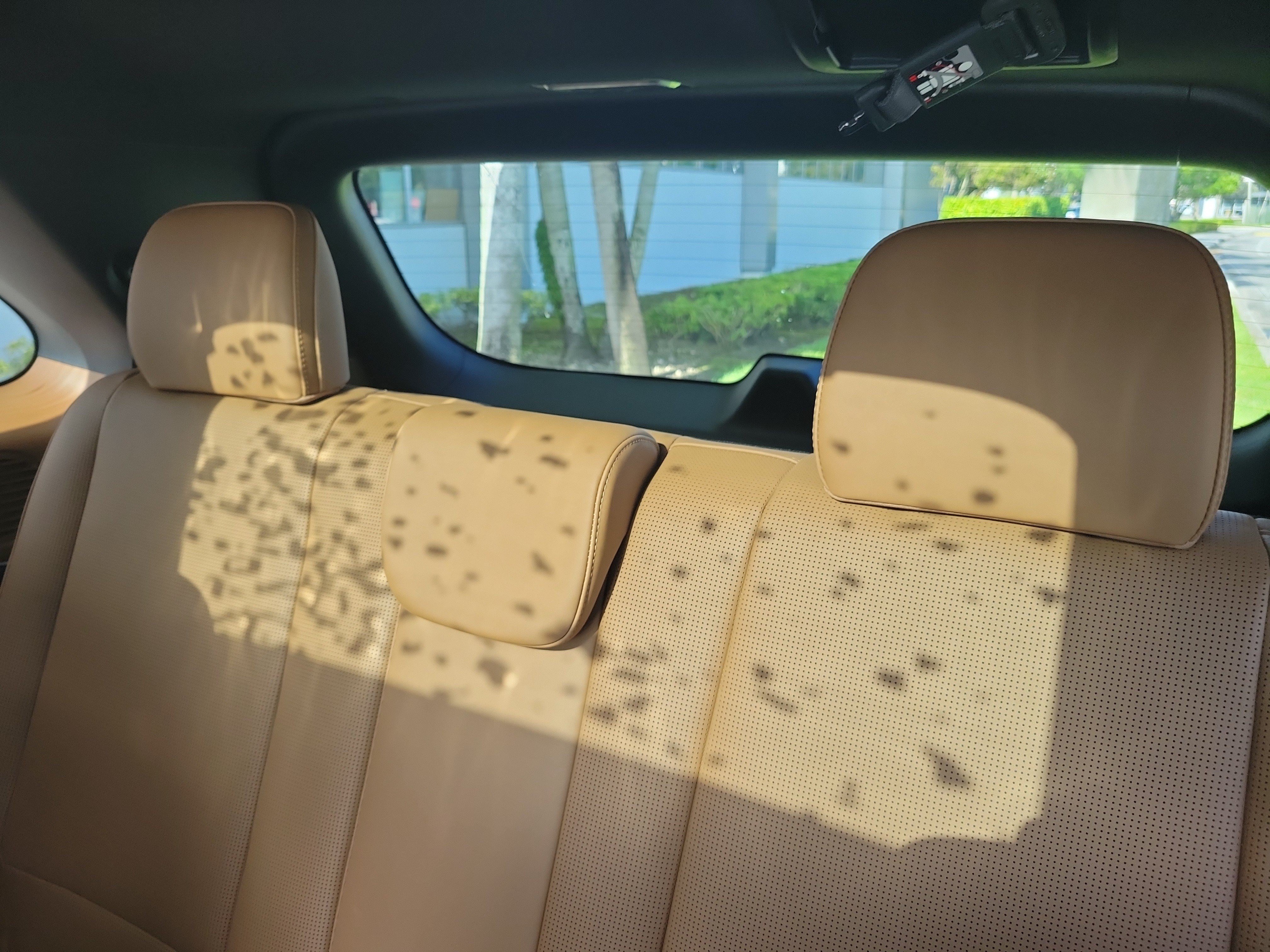 Used 2026 Hyundai Palisade Calligraphy FWD image 13