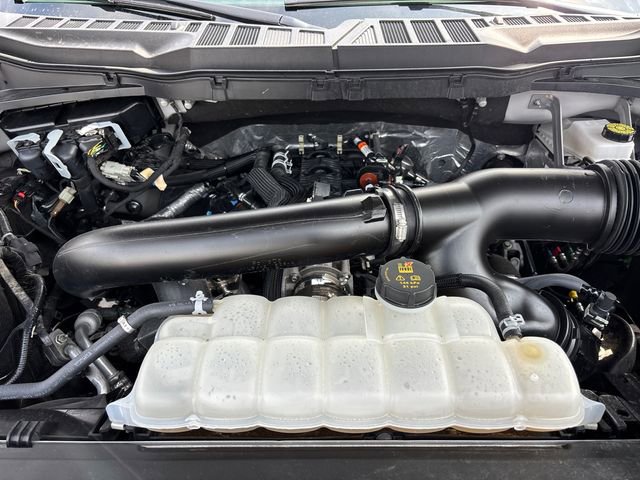 Used 2025 Ford F150 XLT w/ Equipment Group 301A Standard image 34