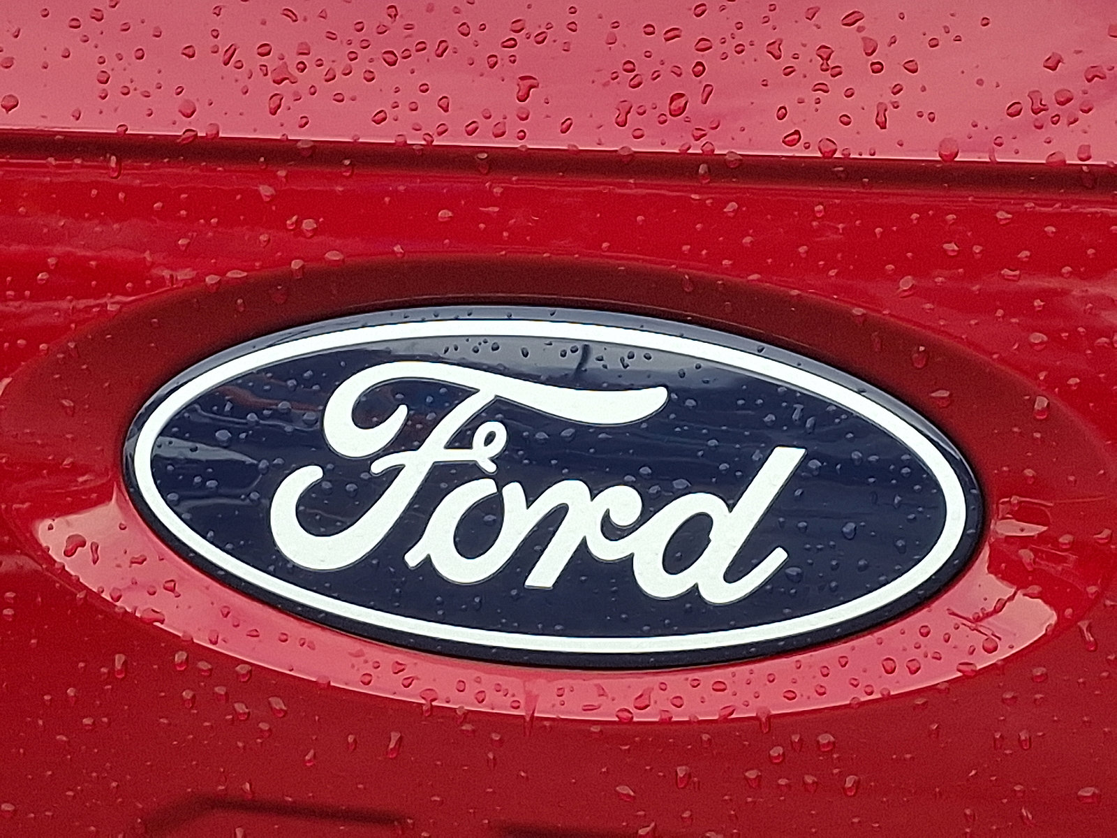 Used 2025 Ford F150 Lightning XLT image 29