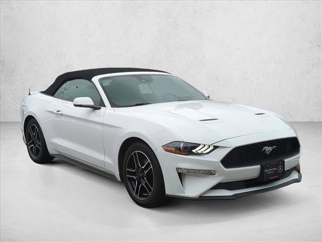 Used 2023 Ford Mustang Premium w/ Equipment Group 201A image 3