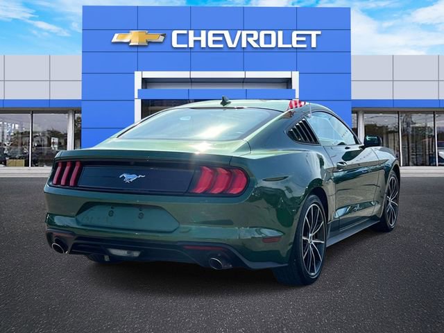 Used 2022 Ford Mustang EcoBoost w/ Equipment Group 101A image 8