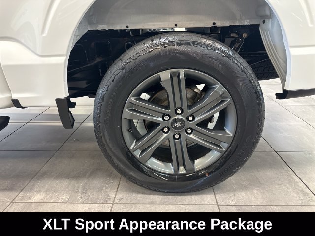 Used 2023 Ford F150 XLT w/ Equipment Group 302A High AWD/4WD image 7