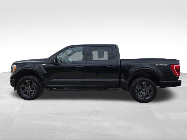Used 2023 Ford F150 XLT w/ Equipment Group 302A High AWD/4WD image 10