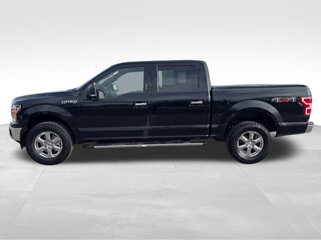 Used 2019 Ford F150 XLT w/ Equipment Group 302A Luxury image 3