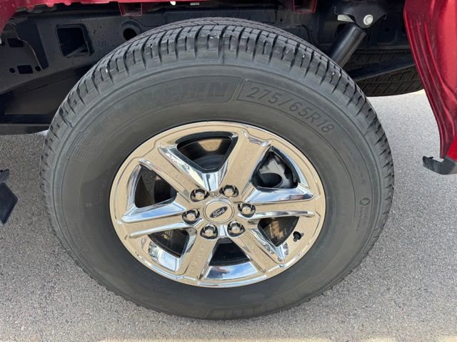 Used 2024 Ford F150 XLT w/ Equipment Group 302A MID image 11