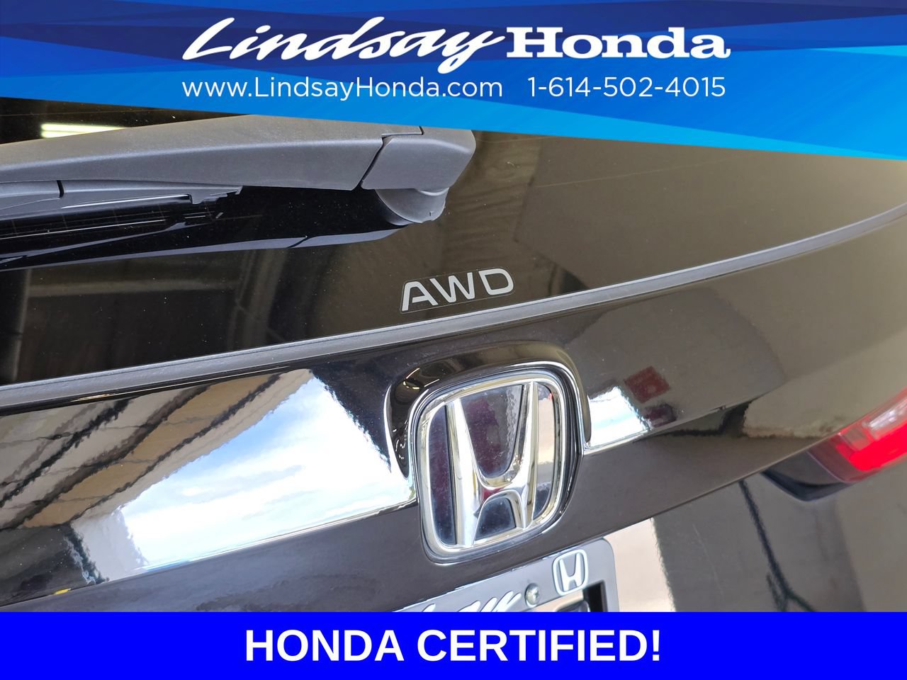 Certified 2025 Honda CR-V EX-L image 7