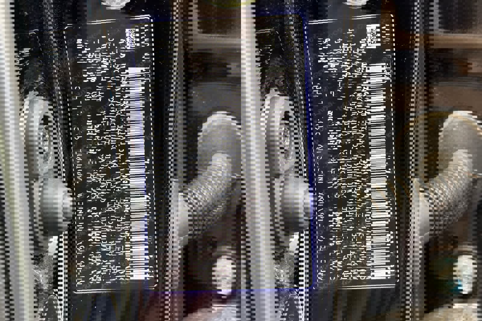 Used 2018 Honda Civic EX-L image 28