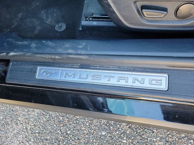 Used 2024 Ford Mustang Premium image 15