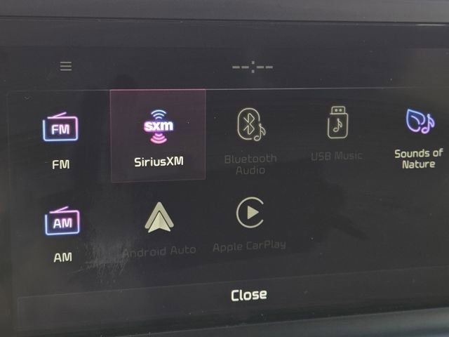 Used 2021 Kia Telluride SX w/ SX Prestige Package image 6