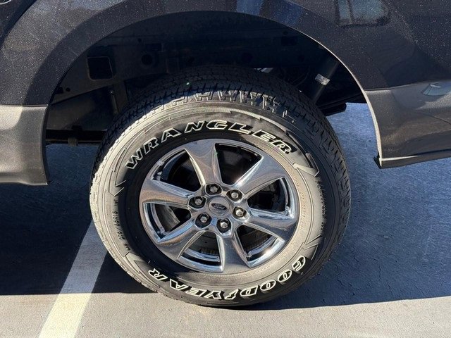 Used 2019 Ford F150 XLT w/ Equipment Group 302A Luxury image 5