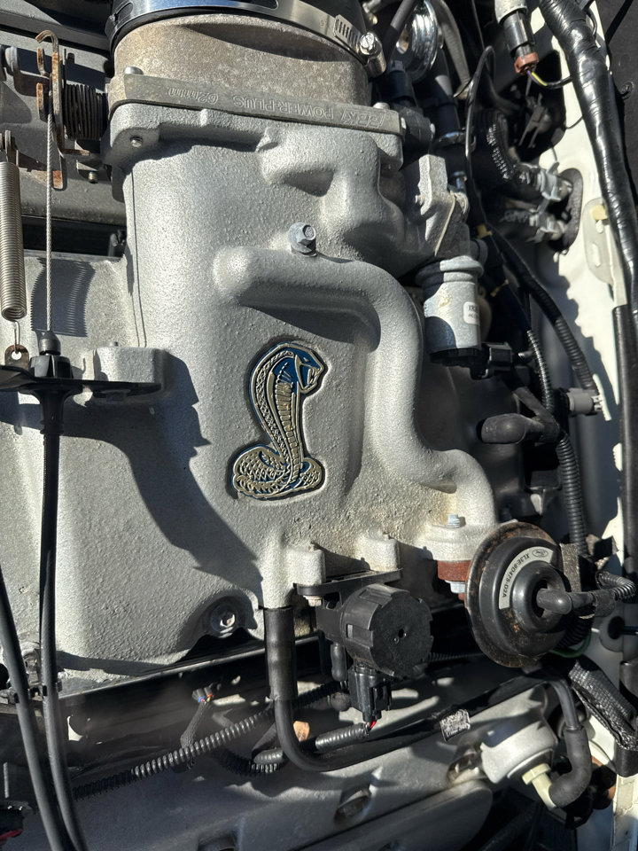 Used 1999 Ford Mustang Cobra image 32