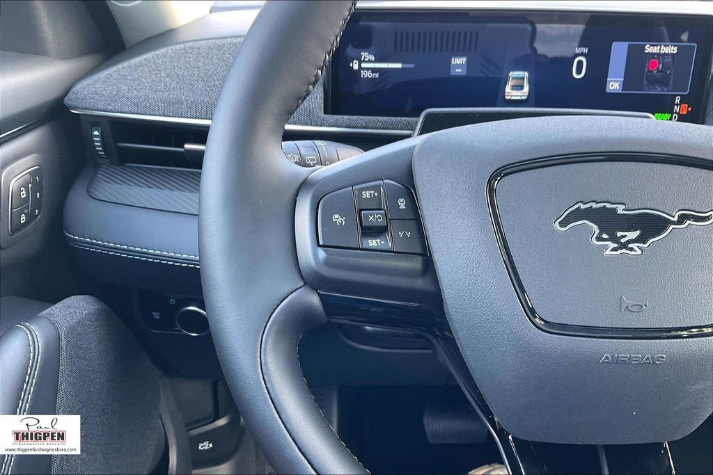 New 2025 Ford Mustang Mach-E Premium w/ Interior Protection Package image 19