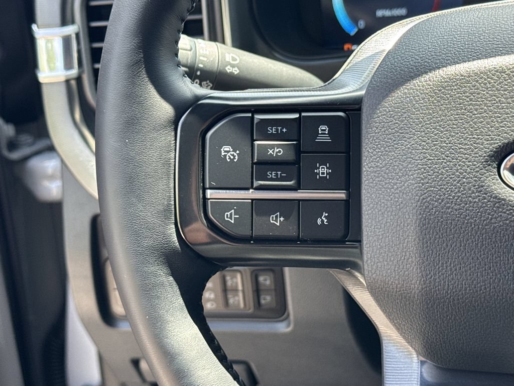 Used 2025 Ford F250 Platinum AWD/4WD image 27