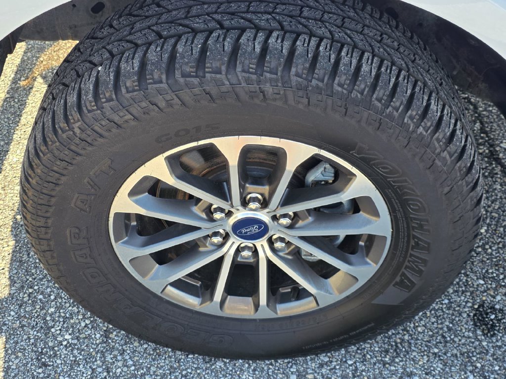 Used 2019 Ford F150 XLT w/ Equipment Group 302A Luxury AWD/4WD image 41