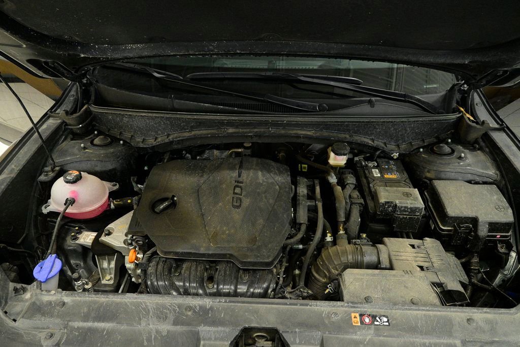 Used 2025 Hyundai Santa Cruz SEL image 10