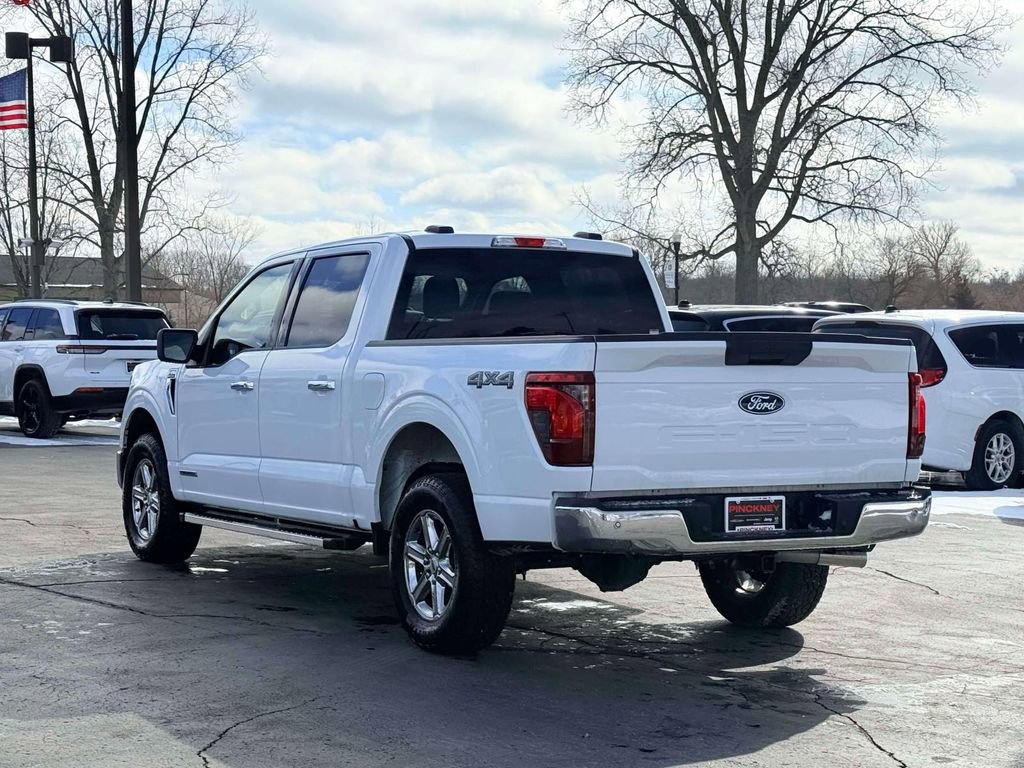 Used 2025 Ford F150 XLT w/ Equipment Group 301A Standard image 8