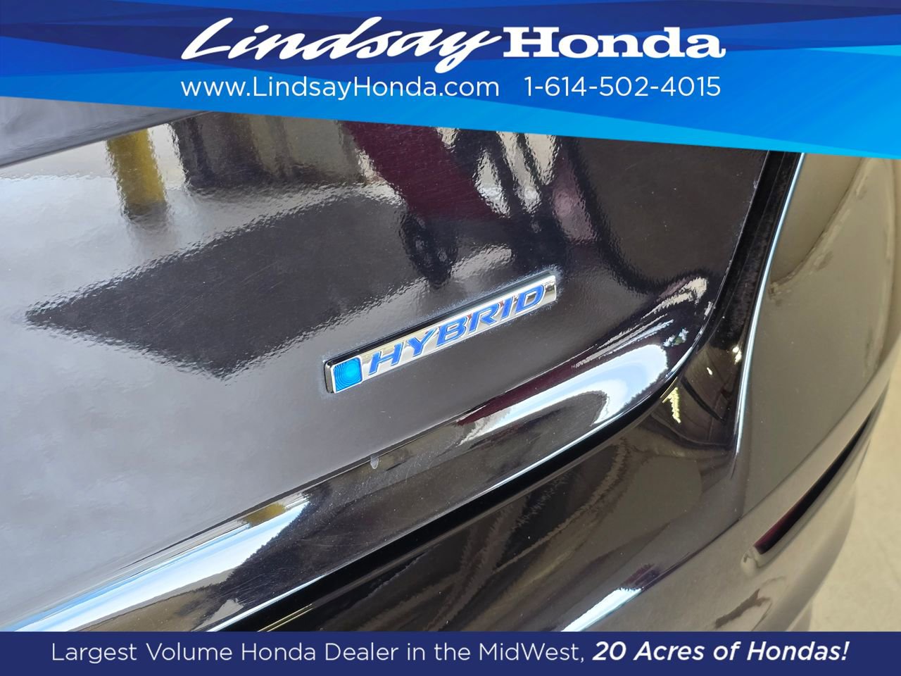 Used 2025 Honda Accord EX-L image 7
