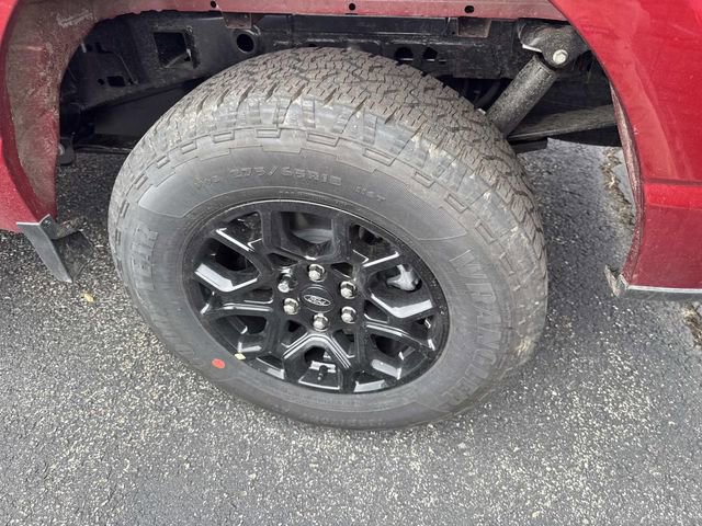 New 2026 Ford F150 XLT w/ XLT Black Appearance Package image 4