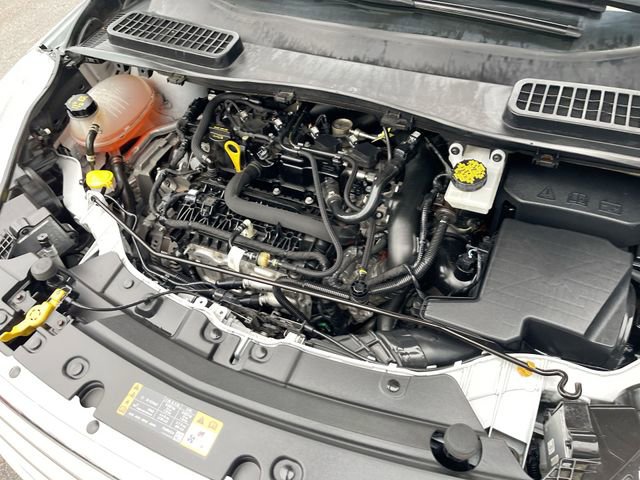 Used 2019 Ford Escape SEL image 28