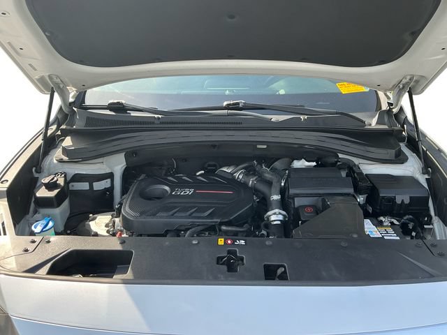Used 2019 Hyundai Santa Fe Limited AWD/4WD image 20