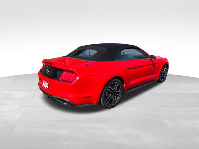 Used 2023 Ford Mustang Premium image 7