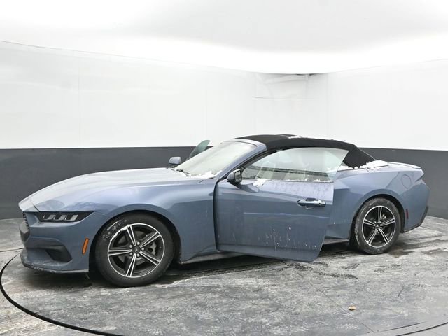 Used 2024 Ford Mustang Premium image 53