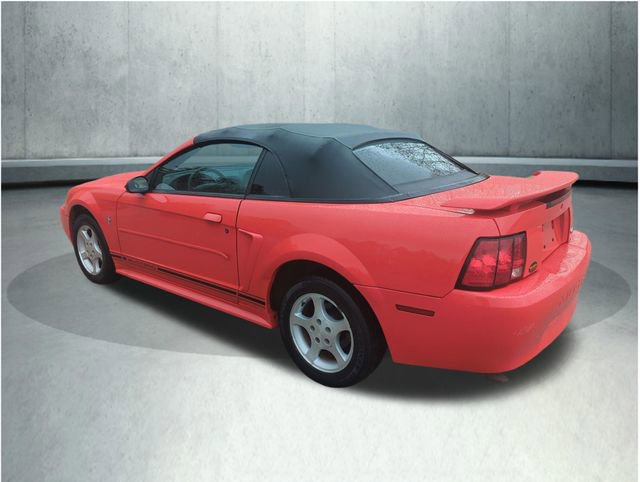 Used 2001 Ford Mustang Convertible RWD image 5