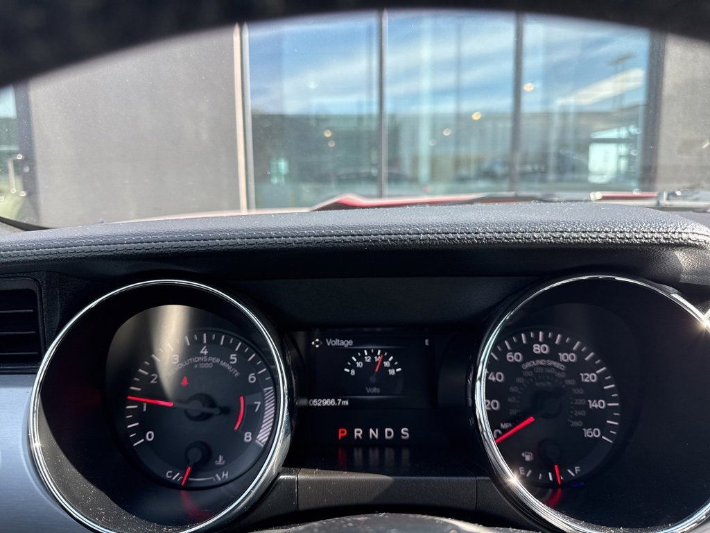 Used 2017 Ford Mustang Premium w/ Wheel & Stripe Package image 9