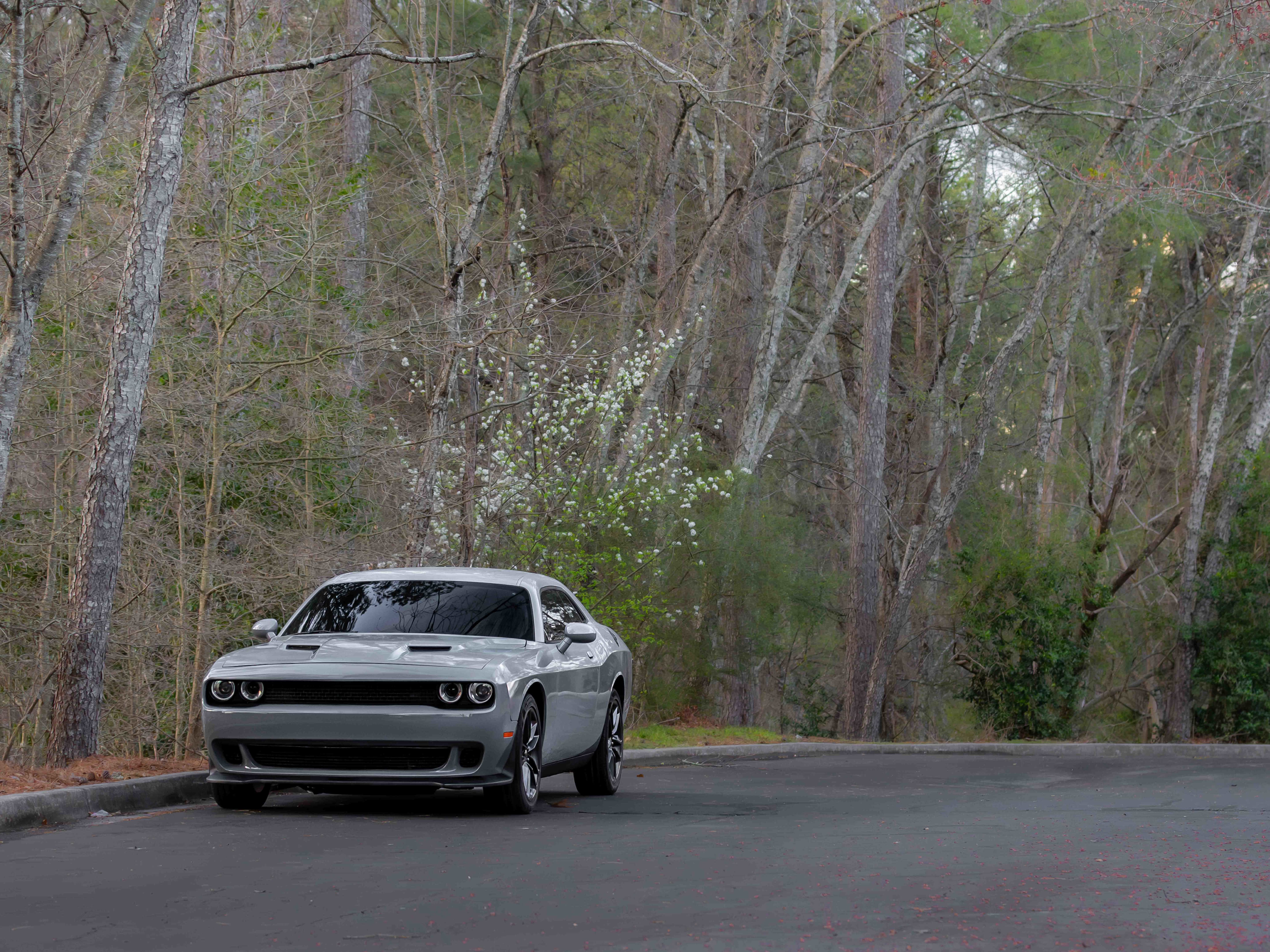 Used 2021 Dodge Challenger SXT w/ Plus Package image 37