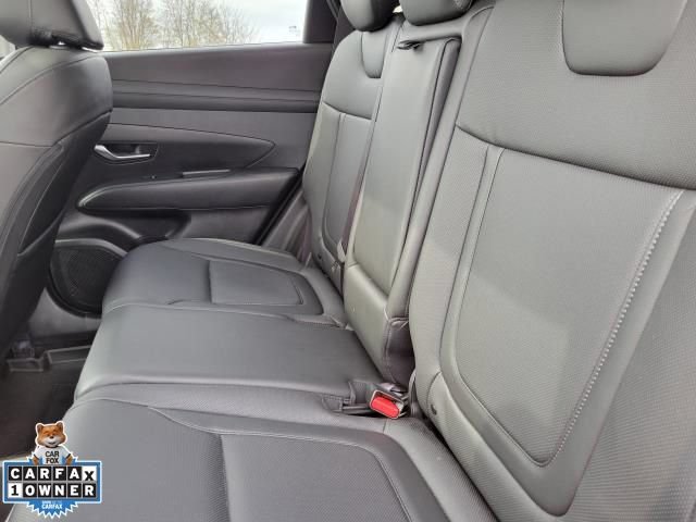 Used 2025 Hyundai Tucson SEL AWD/4WD image 11