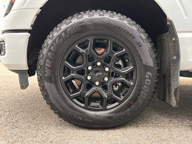 Used 2024 Ford F150 XLT w/ Equipment Group 302A MID image 11